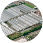 About Kientzler North America