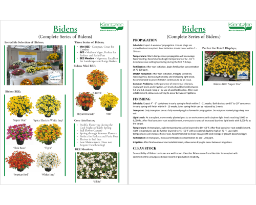 Bidens