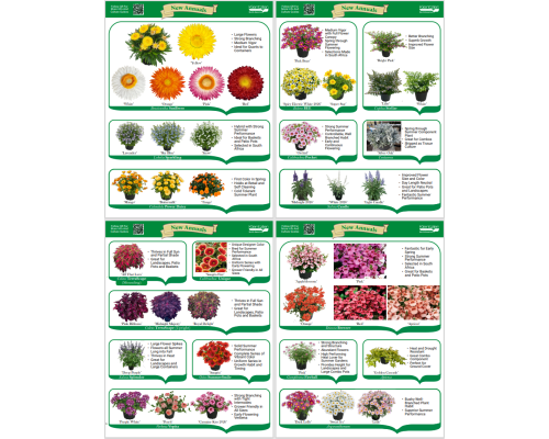 New Annuals Guide