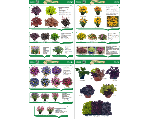 New Perennials Guide