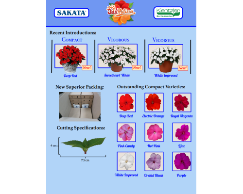 SunPatiens
